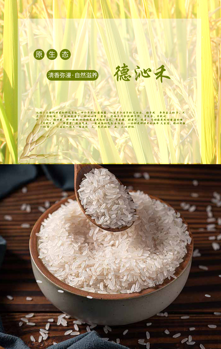 德沁禾 【消费帮扶】广德 广籼大米 绿色食品