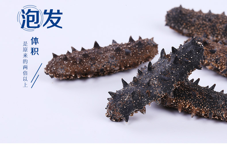 【东营馆】景明 海参干货淡干海参 5-6年刺参 50-80只 500g/盒