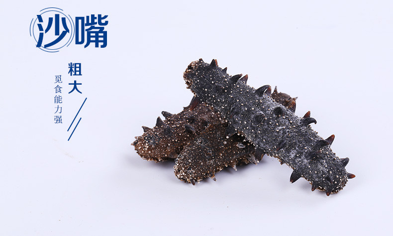 【东营馆】景明 海参干货淡干海参 5-6年刺参 50-80只 500g/盒