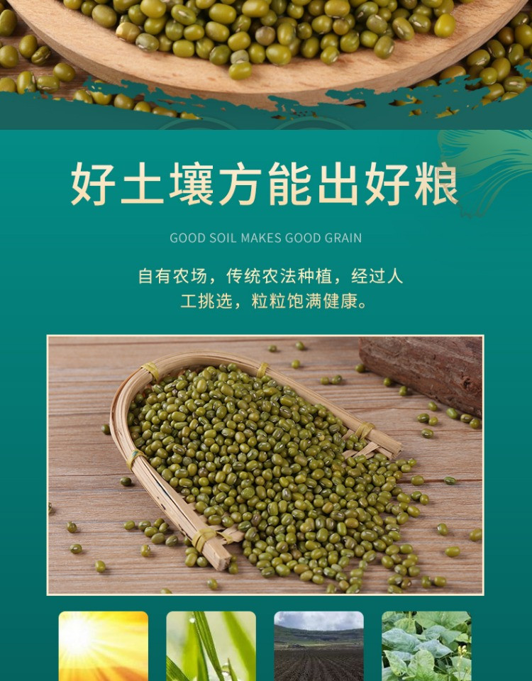 山满田 绿豆500g 真空包装绿豆粗粮