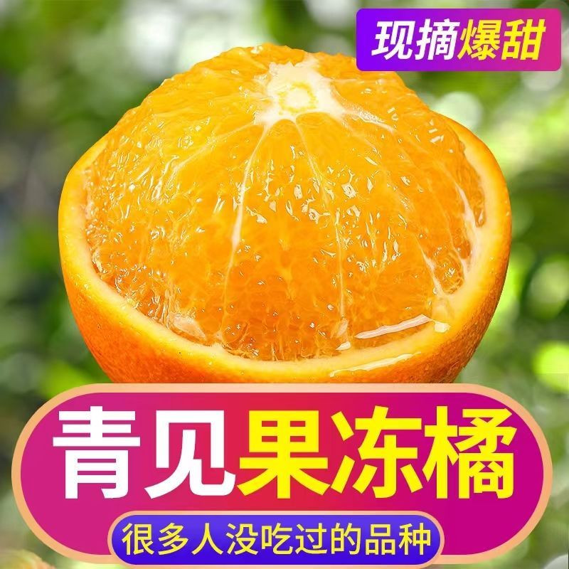  【眉州甄选】 四川眉山原产地青见果冻橙 与橘同在