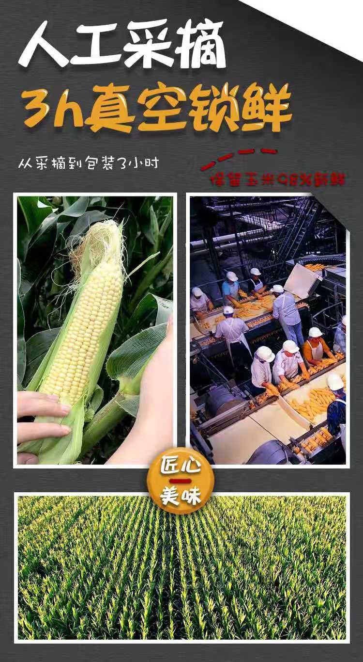 北大荒 甜糯玉米 200gX6穗