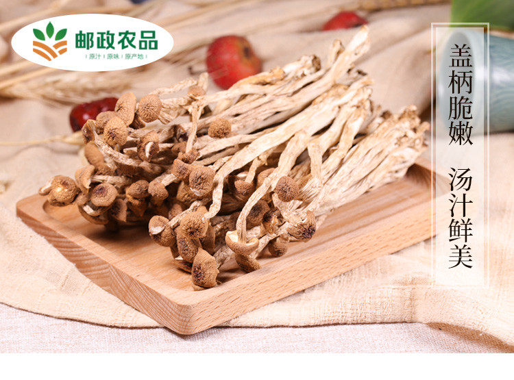 【厦门馆】茶树菇干货 250g 不开伞盖嫩柄脆 菌菇食材