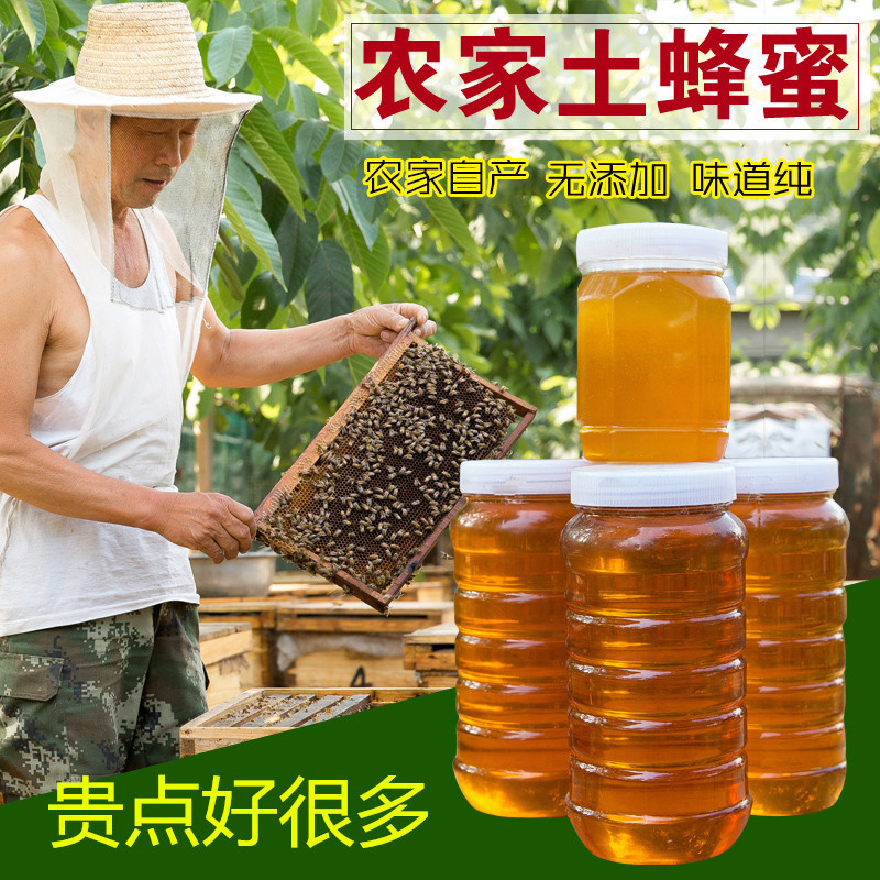 凡茂 农家土蜂蜜 洋槐蜜 荆条蜜1000g