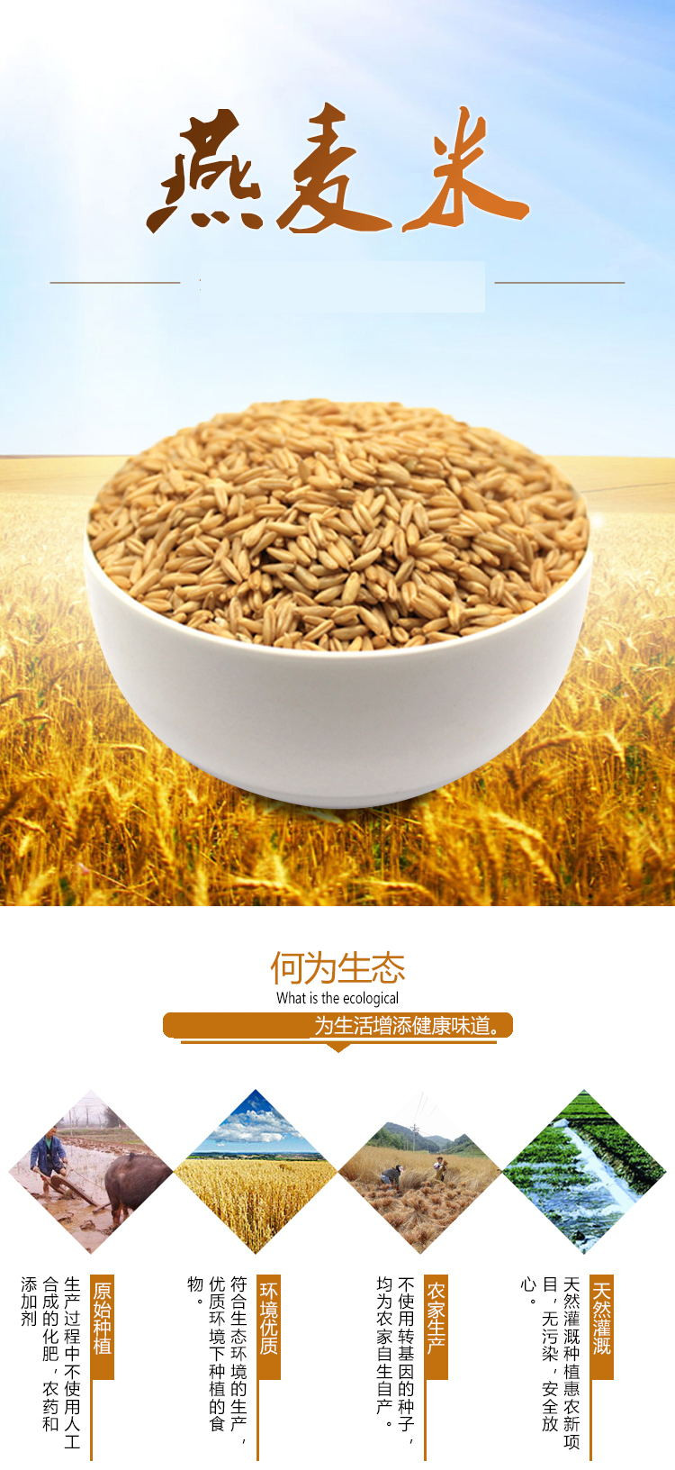燕麦米农家自产新货生燕麦黄燕麦仁裸燕麦五谷杂粮800g