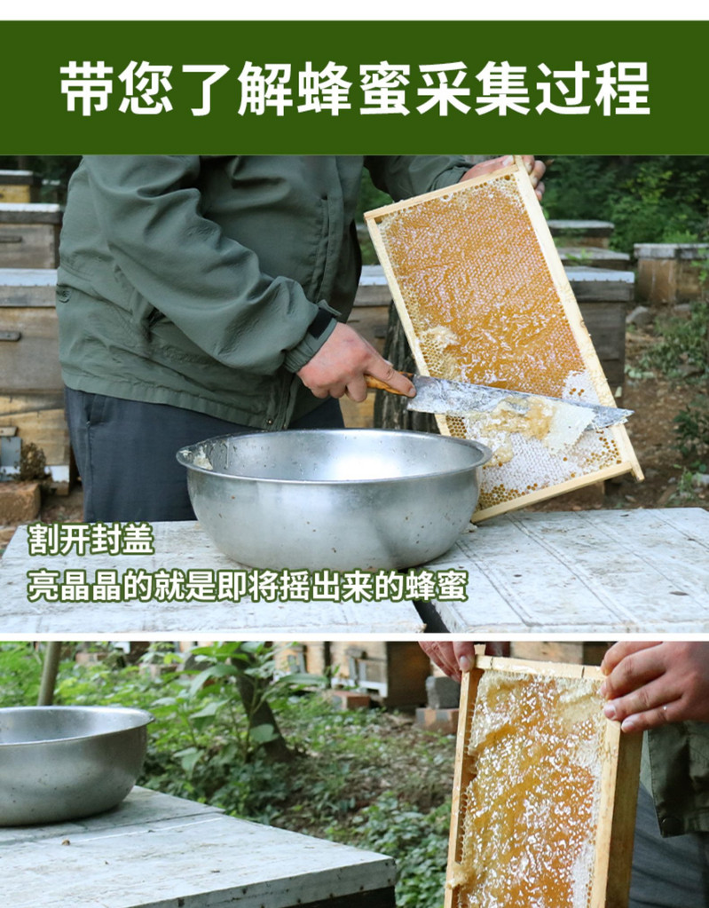 农家自产 得恩蜂蜜中华蜂 冬蜜