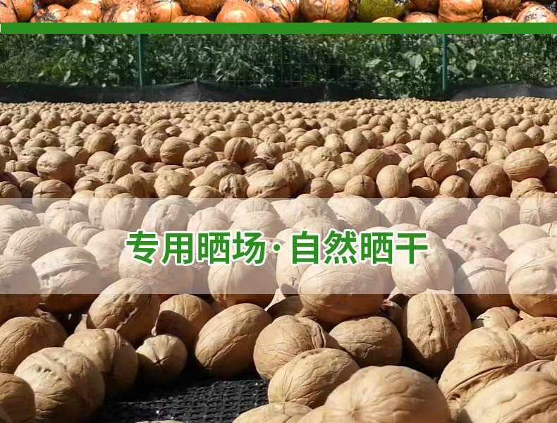 昆泉福菓 【邮政助农】新疆和田薄皮核桃500克袋装 全国包邮