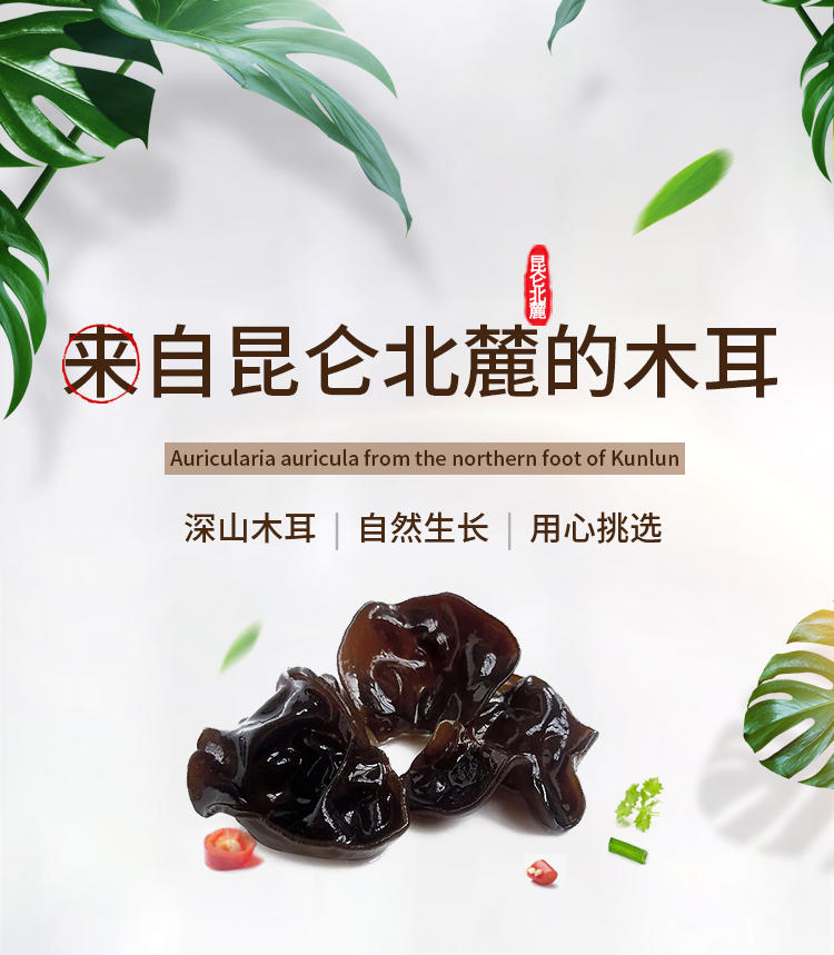 丰和厚润供销果业 【消费帮扶】洛浦县扶贫产品 丰和厚润新疆木耳500g