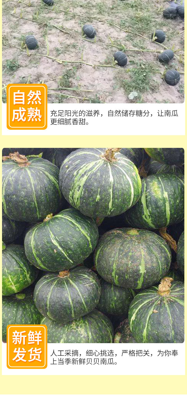 贝贝南瓜5kg/箱