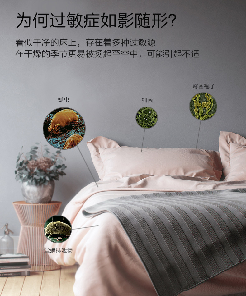 美的 （Midea） 除螨仪TB-2手持床上家用吸尘器紫外线杀菌除螨虫TB-2