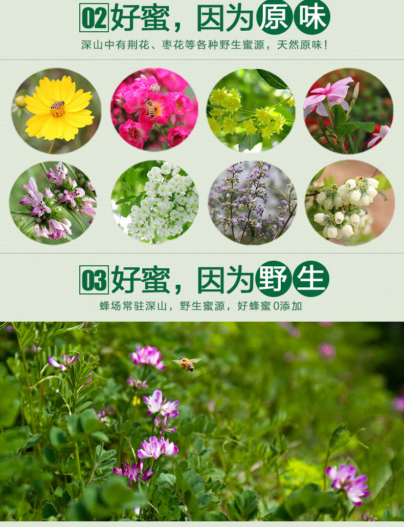 【孝昌扶贫】湖北纯天然洋槐蜂蜜 枣花蜂蜜500g瓶装槐花蜜正宗无添加蜂农直供