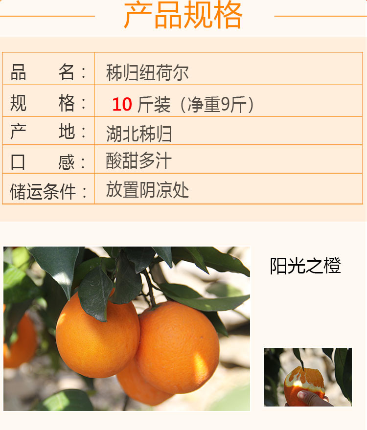 【孝昌】七仙红秭归纽 荷尔橙 脐橙 10斤顺丰包邮