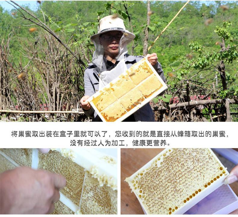 七仙红 【孝昌扶贫】正宗蜂巢蜜天然嚼着吃500g 纯正百花土蜂蜜野生正品盒装