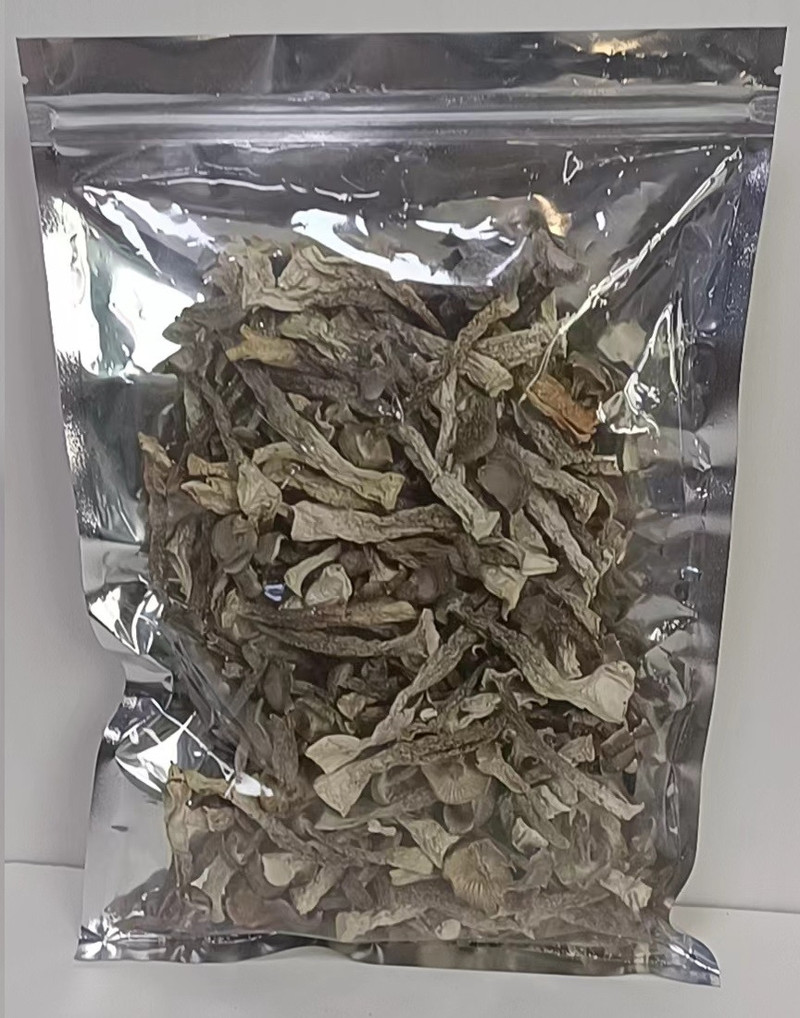 竺酒坊 鹿茸菌