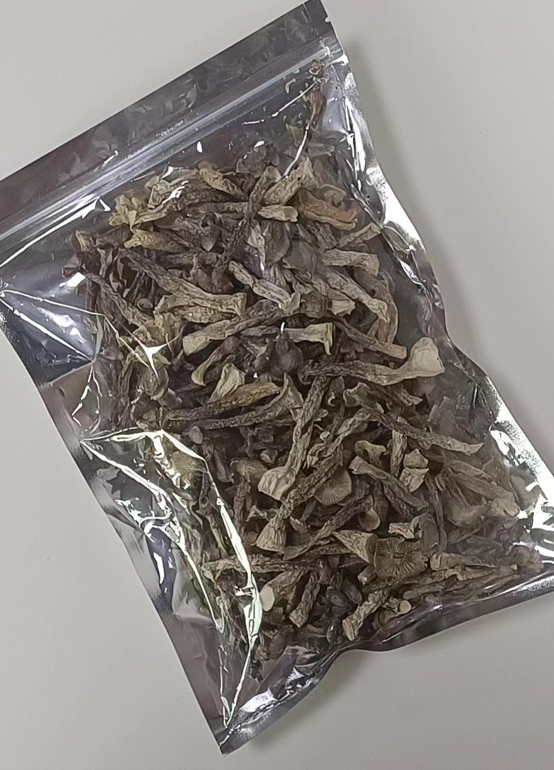 竺酒坊 鹿茸菌