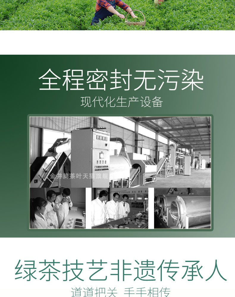 【邮乐长沙县馆】金井牌 毛尖二号500g（50g*10包）