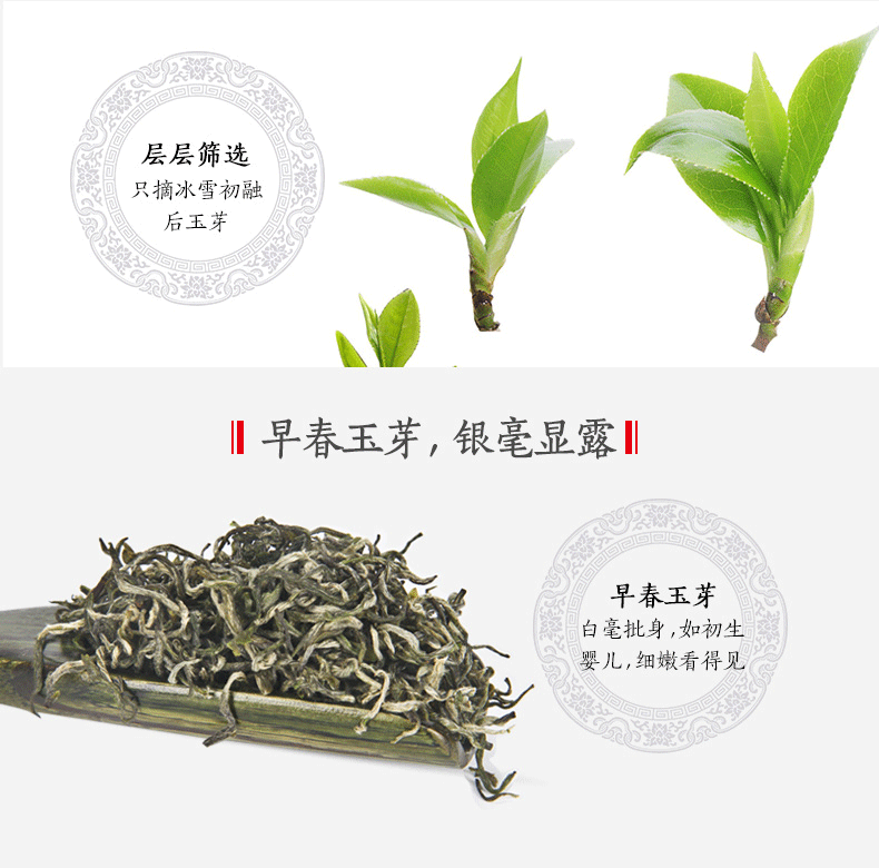 【邮乐长沙县馆】金井牌 为人民服务茶叶礼盒装 500g/盒（50g*10包）