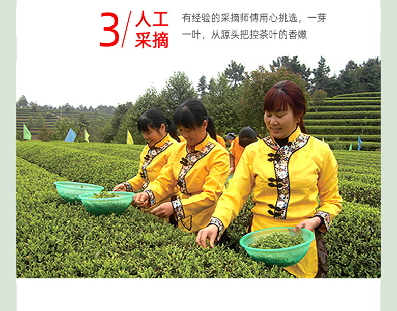  【邮乐长沙县馆】高桥 特级绿茶(金色)100g*5包