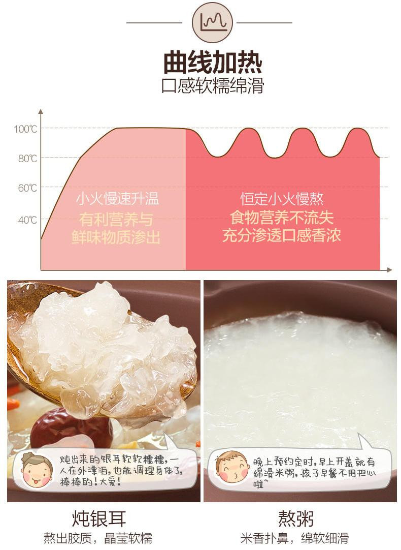 【东营馆】小熊 DDG-D20T5紫砂电炖锅煲汤煮粥锅全自动熬粥迷你电炖盅（部分包邮）