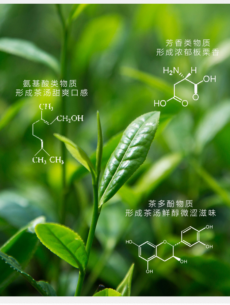 艺福堂 精选西湖龙井西子春 200g 雨前三级 香浓味厚 性价比高