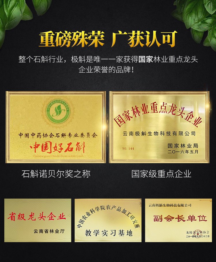 品斛 极斛 铁皮-枫斗 5年仿野生超霍山石斛 花茶鲜条颗粒 50g/罐