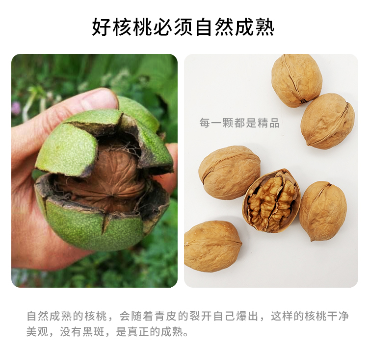 蓝颂 纸皮核桃农家自产 新疆阿克苏 手剥纸皮核桃500g*2袋江浙沪包邮