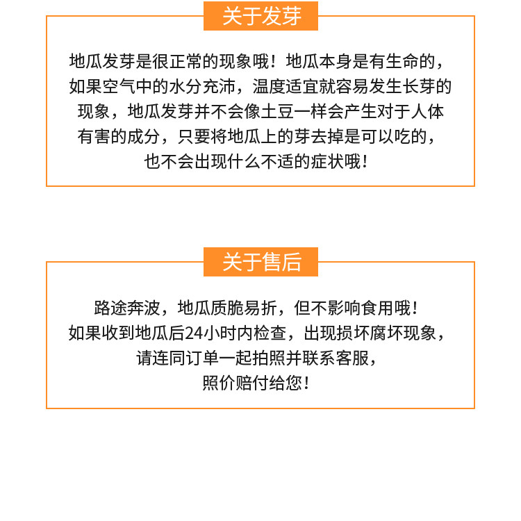 百韵西津 桥头富硒地瓜 8斤装 新鲜黄心番薯