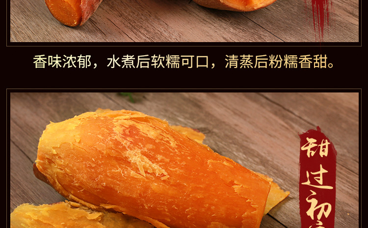 元甲山 六鳌红薯小香薯迷你果农家番薯沙地蜜薯 新鲜5斤装香甜软糯 40-50个