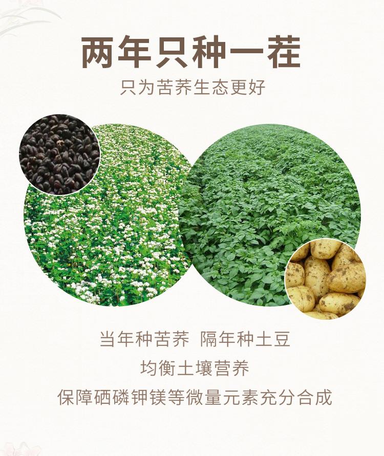 雁门清高 苦荞香米礼盒1830g