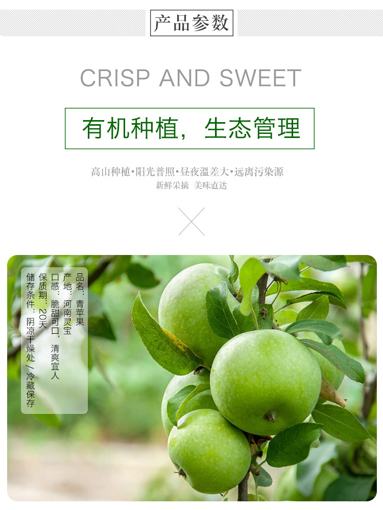 【乡鹰购】预售  当季新鲜水果金冠青苹果5斤装 8月初发货 全国包邮（除偏远）