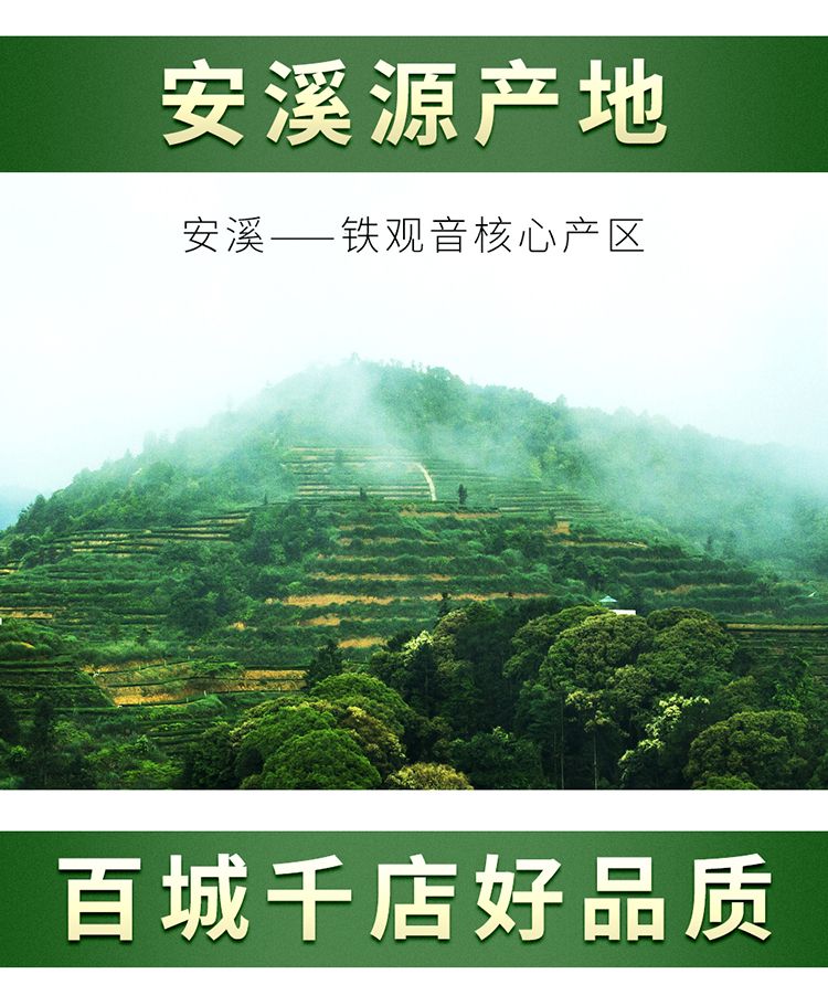 三千茶农 安溪铁观音茶叶清香型2018新茶兰花香高山乌龙茶罐装200g