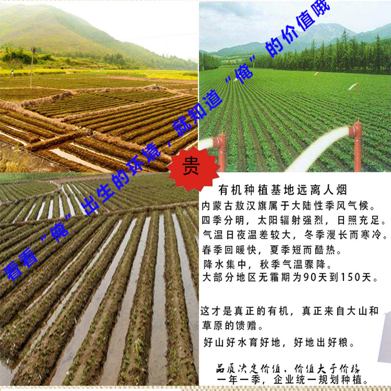 垄垦 有机大黄米550g黏黄米面年糕东北粘豆包天然农家特产新鲜五谷杂粮包邮