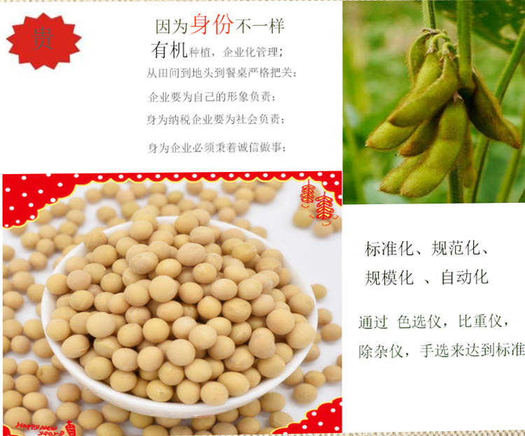 垄垦 有机笨黄豆500g新鲜内蒙东北特产五谷杂粮粗粮发芽豆包邮