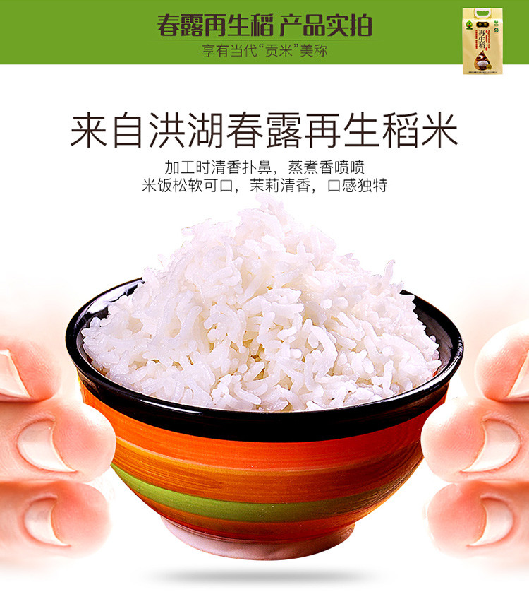 洪湖春露再生稻一级营养大米新米香米10斤包邮真空包装绿色食品无添加