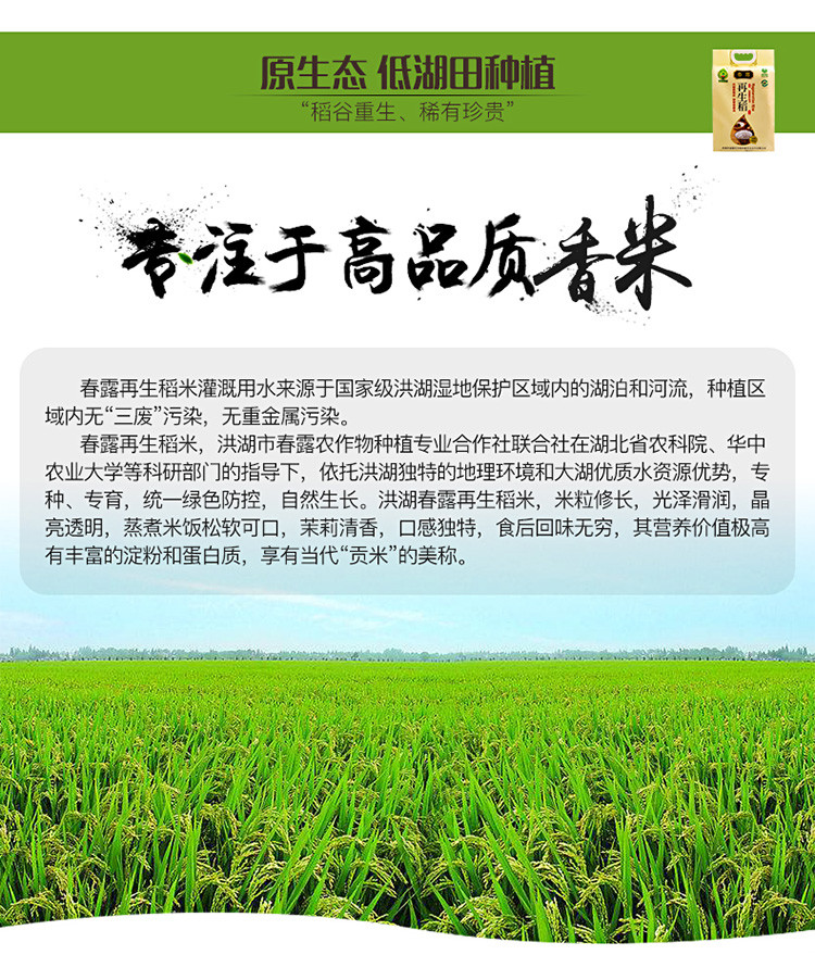 洪湖春露再生稻一级营养大米新米香米10斤包邮真空包装绿色食品无添加