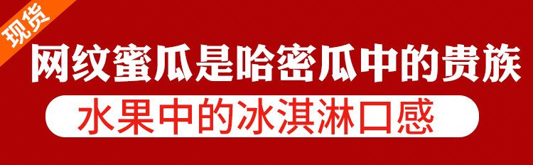 【现摘现发】山东特产哈密瓜网纹密瓜5斤羊角蜜甜瓜香瓜玫珑瓜新鲜水果冰激凌口感