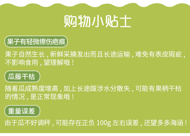 【现摘现发】山东特产哈密瓜网纹密瓜5斤羊角蜜甜瓜香瓜玫珑瓜新鲜水果冰激凌口感