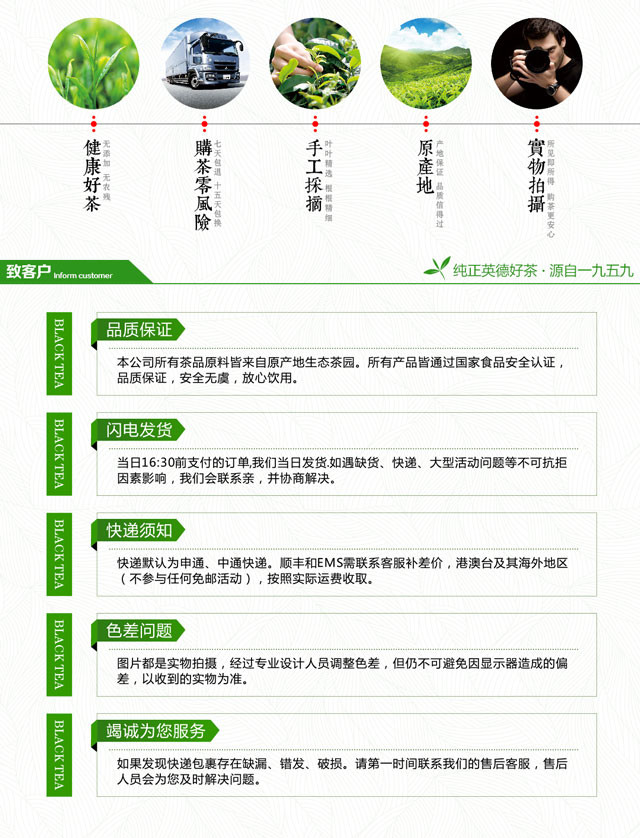 尚品德茗【诚】 英德绿茶 250g袋装茶叶一级清远英德特产广东中秋送礼