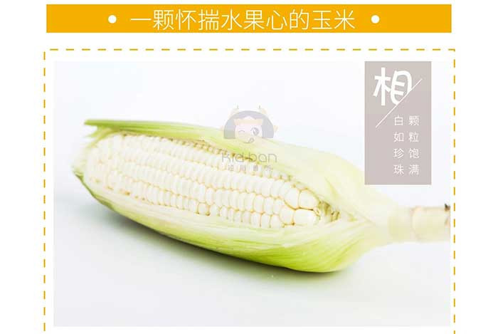 九九吾 ·台湾牛奶水果玉米 (6-8根)