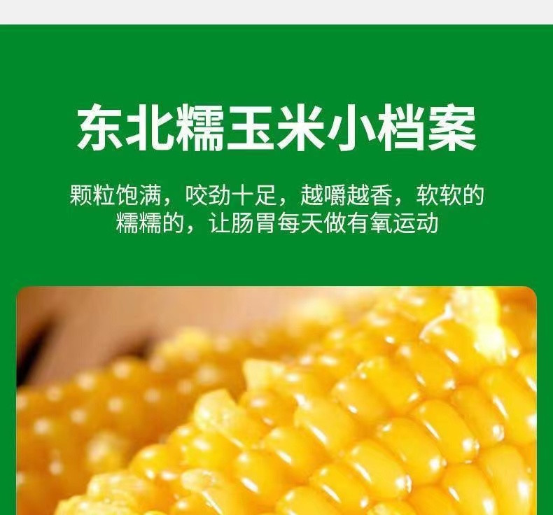 千里辽河 鲜食玉米5穗（双辽发货）1000g