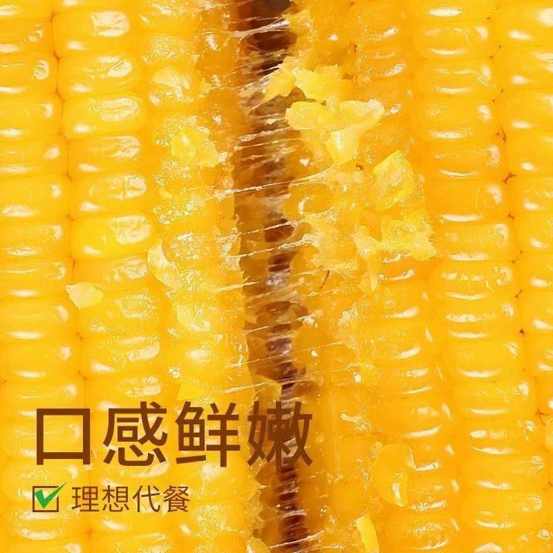 千里辽河 【四平】鲜食玉米5穗（双辽发货）1000g