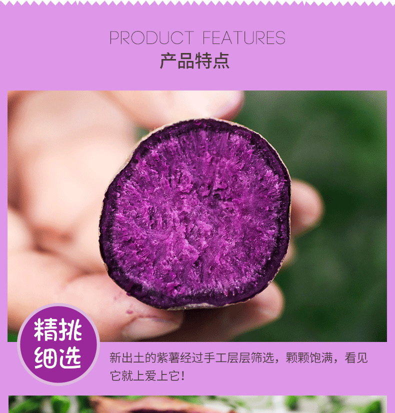 【长阳馆】农家紫薯番薯新鲜 小番薯红薯 5斤包邮