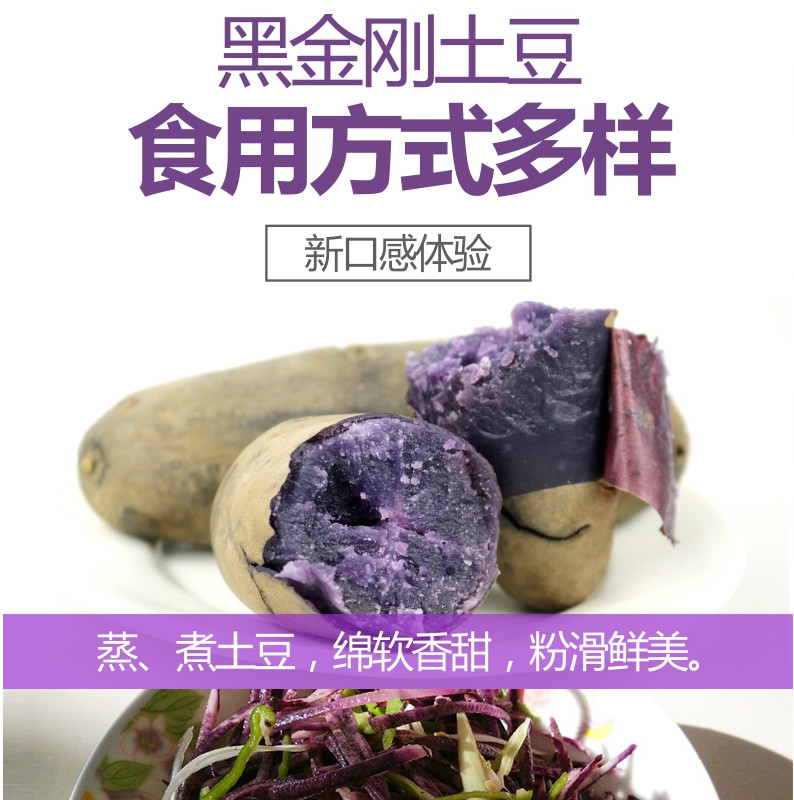 誉福农 黑土豆紫心土豆彩色马铃薯新鲜蔬菜乌洋芋五斤包邮