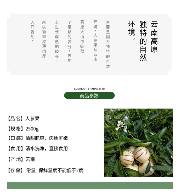 新鲜水果人生果香瓜茄凤果艳果当季水果5斤包邮现摘现发坏果包赔