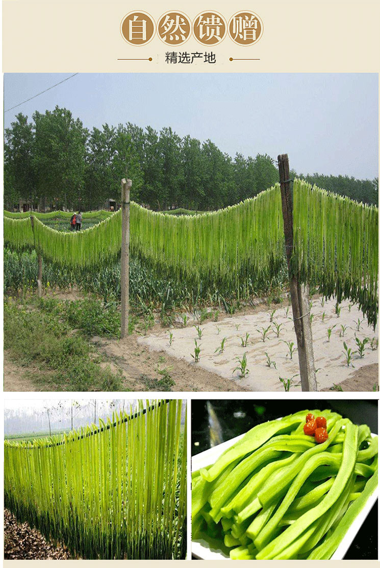 贡菜干 新鲜无叶苔干菜农家特产干货脱水蔬菜500g包邮