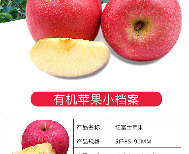 三皇山2018新鲜有机SOD烟台红富士苹果孕妇水果10斤85-90mm包邮好吃