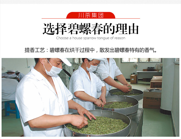 【宜宾邮政】叙府 明前碧螺春绿茶茶叶100g