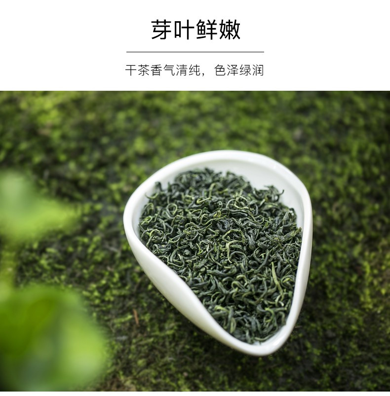 【宜宾邮政】叙府明前春芽高山毛尖绿茶 金罐125g