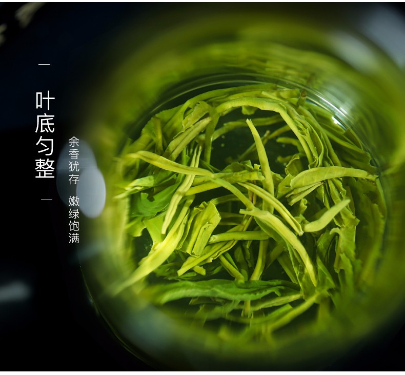 【买一送一】叙府2022年新茶明前春芽高山毛尖绿茶银罐125g