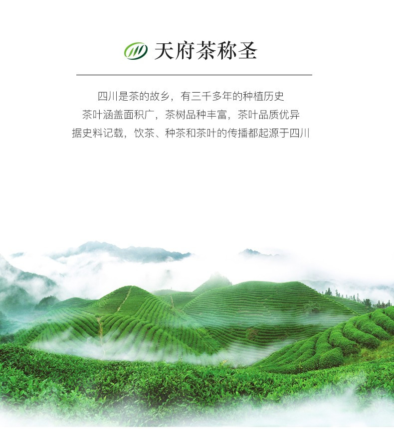 【宜宾邮政】叙府明前春芽高山毛尖绿茶 金罐125g